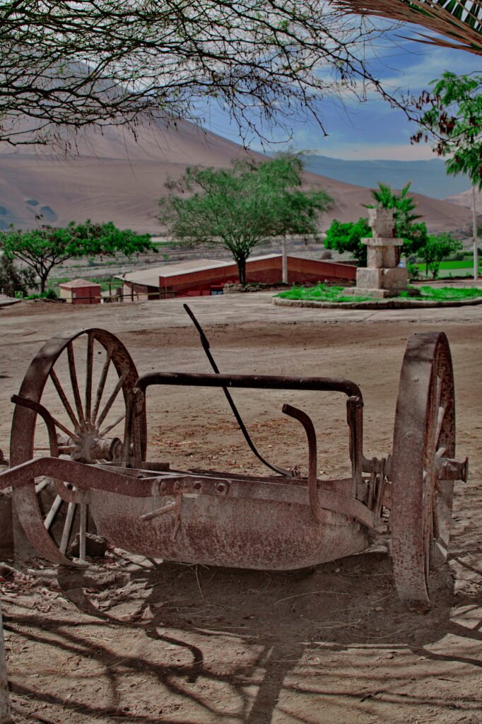 04. Eco-Truly Valle Luta Arica 2021 05 30 15 07 55 0053