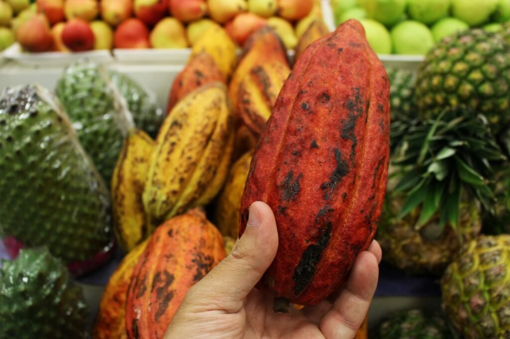 A Bolivian Cacao Story Close-up of a cocoa pod in hand surrounded by tropical fruits in a market.